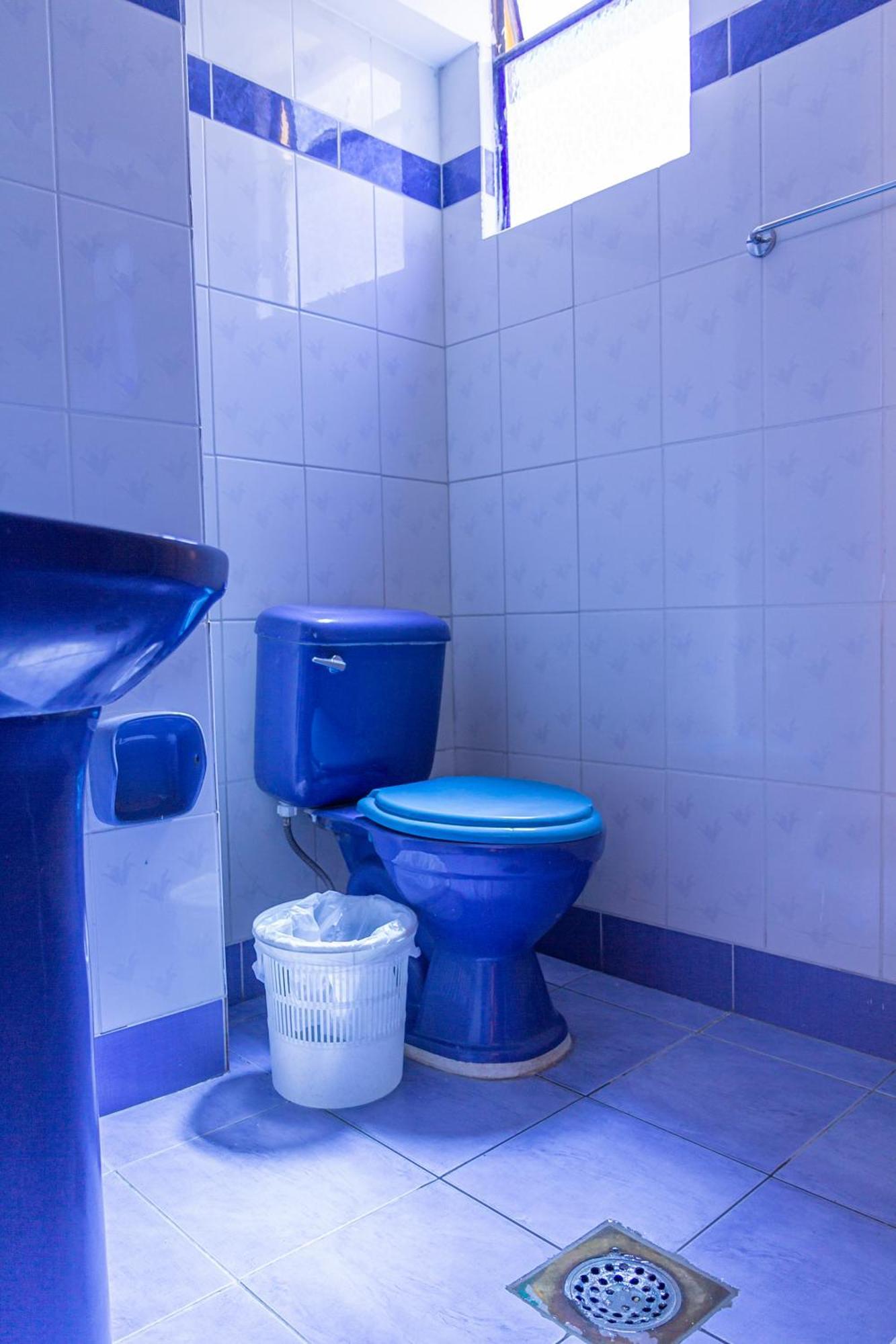 קופקבאנה Hostal Sonia מראה חיצוני תמונה